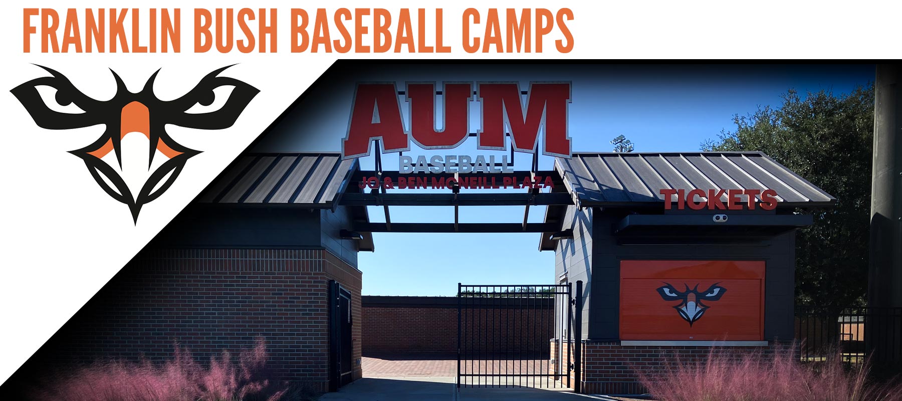 Franklin Bush Baseball Camps